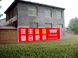 南召如何让墙体广告展现最大化效果