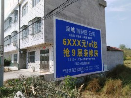 南召墙体广告质量分析
