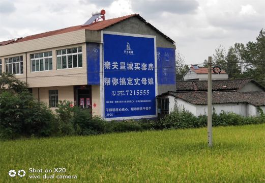 南召决定墙体广告价格的因素有哪些？