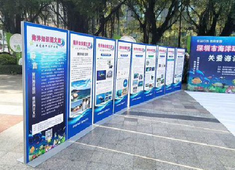 南召KT板的种类和知识。